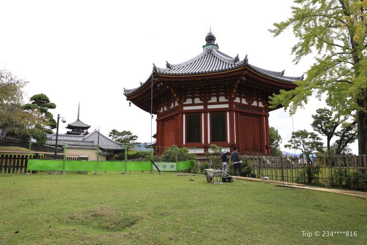 奈良 興福寺 南円堂 評判 案内 トリップドットコム