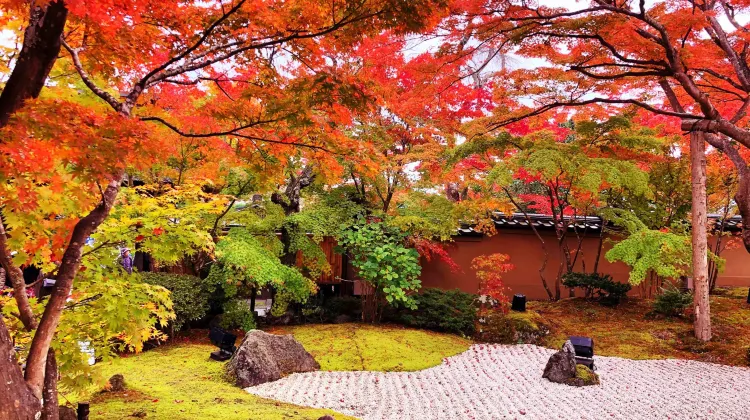 松島町 円通院 評判 案内 トリップドットコム