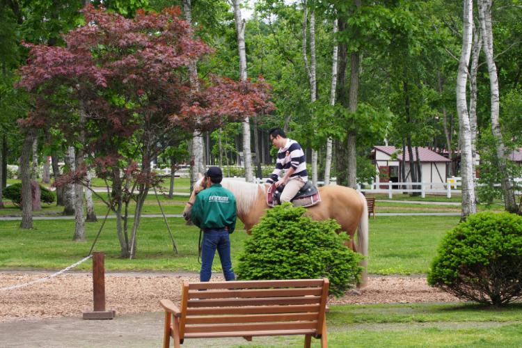 Northern Horse Park Travel Guidebook Must Visit Attractions In Tomakomai Northern Horse Park Nearby Recommendation Trip Com