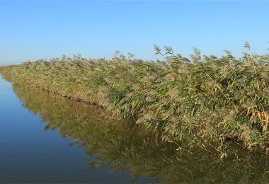 Dongfanghua Decheng Wetland Sceneic Area Popular Attractions Photos