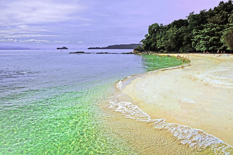 ガヤ島 サピ島 評判 案内 トリップドットコム