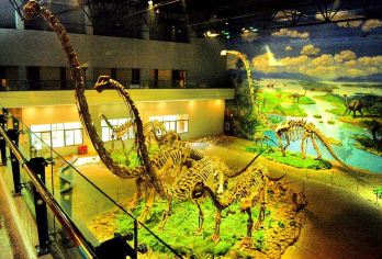 쯔궁 공룡 박물관 명소 인기 사진