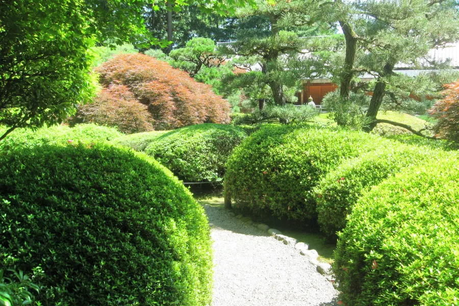 The Japanese Garden