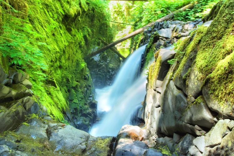 ポート エンジェルス オリンピック国立公園 評判 案内 トリップドットコム