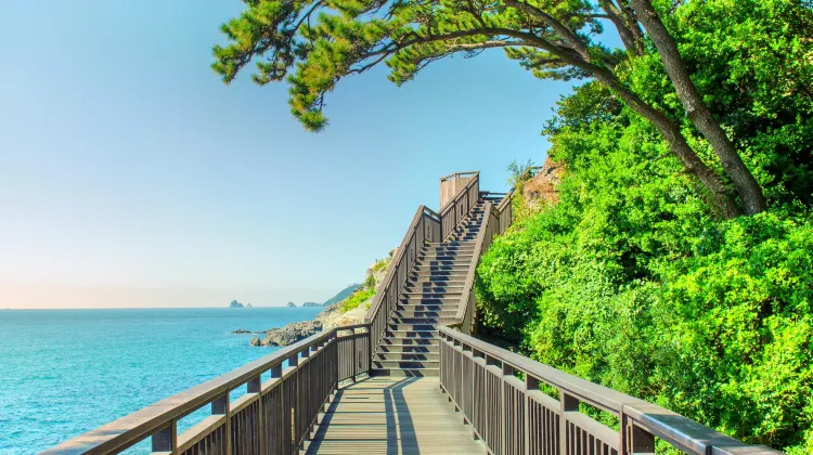 三浦海岸路景點評價 三浦海岸路門票 三浦海岸路優惠 三浦海岸路交通 地址 開放時間 三浦海岸路附近景點 酒店及美食 Trip Com