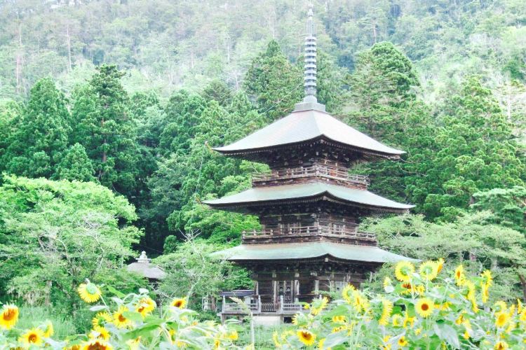 Akutsu Hachiman Shrine Travel Guidebook Must Visit Attractions In Takahata Akutsu Hachiman Shrine Nearby Recommendation Trip Com Akutsu Hachiman Shrine Travel Guidebook Must Visit Attractions In Takahata Akutsu Hachiman Shrine Nearby Recommendation Trip Com