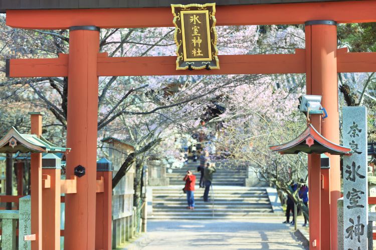 Himurojinja Travel Guidebook Must Visit Attractions In Nara Himurojinja Nearby Recommendation Trip Com