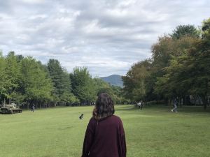 춘천,trippal