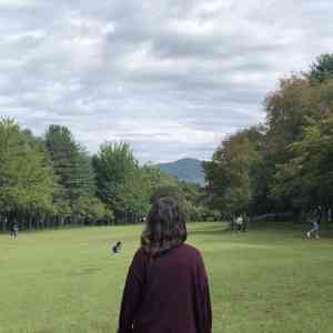 춘천,trippal