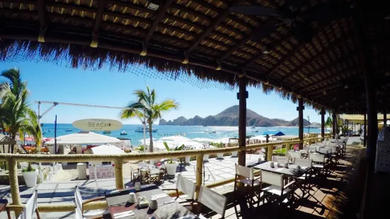 Cachet Beach Club餐廳、地址、電話、相片、用戶真實評價，Callejon Del Pescador S/N, Cabo San  Lucas 23450, Mexico，卡波聖盧卡斯餐廳推薦