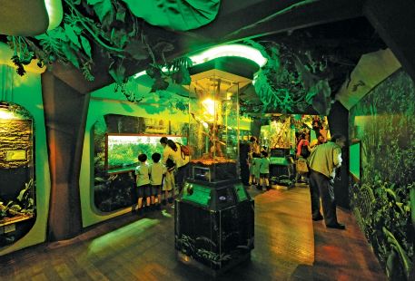 吉隆坡城中城水族館