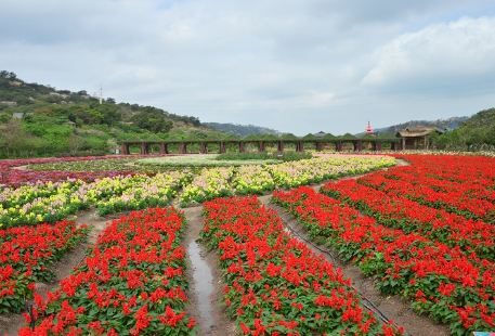 丹櫻農業生態園