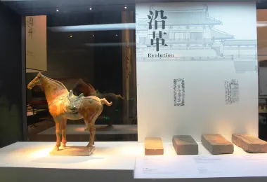 Daming Palace Site Museum Popular Attractions Photos