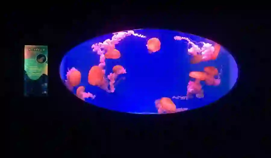 Trip.com