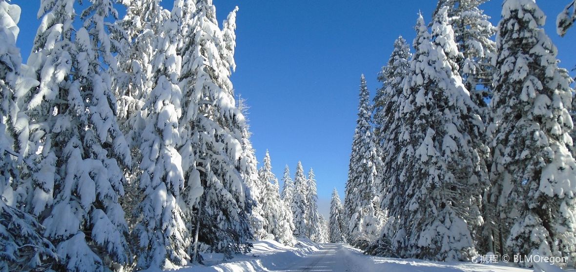 【2023年】オレゴン州の人気観光スポット・旅行ガイド・グルメ情報満載