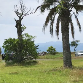 知林島