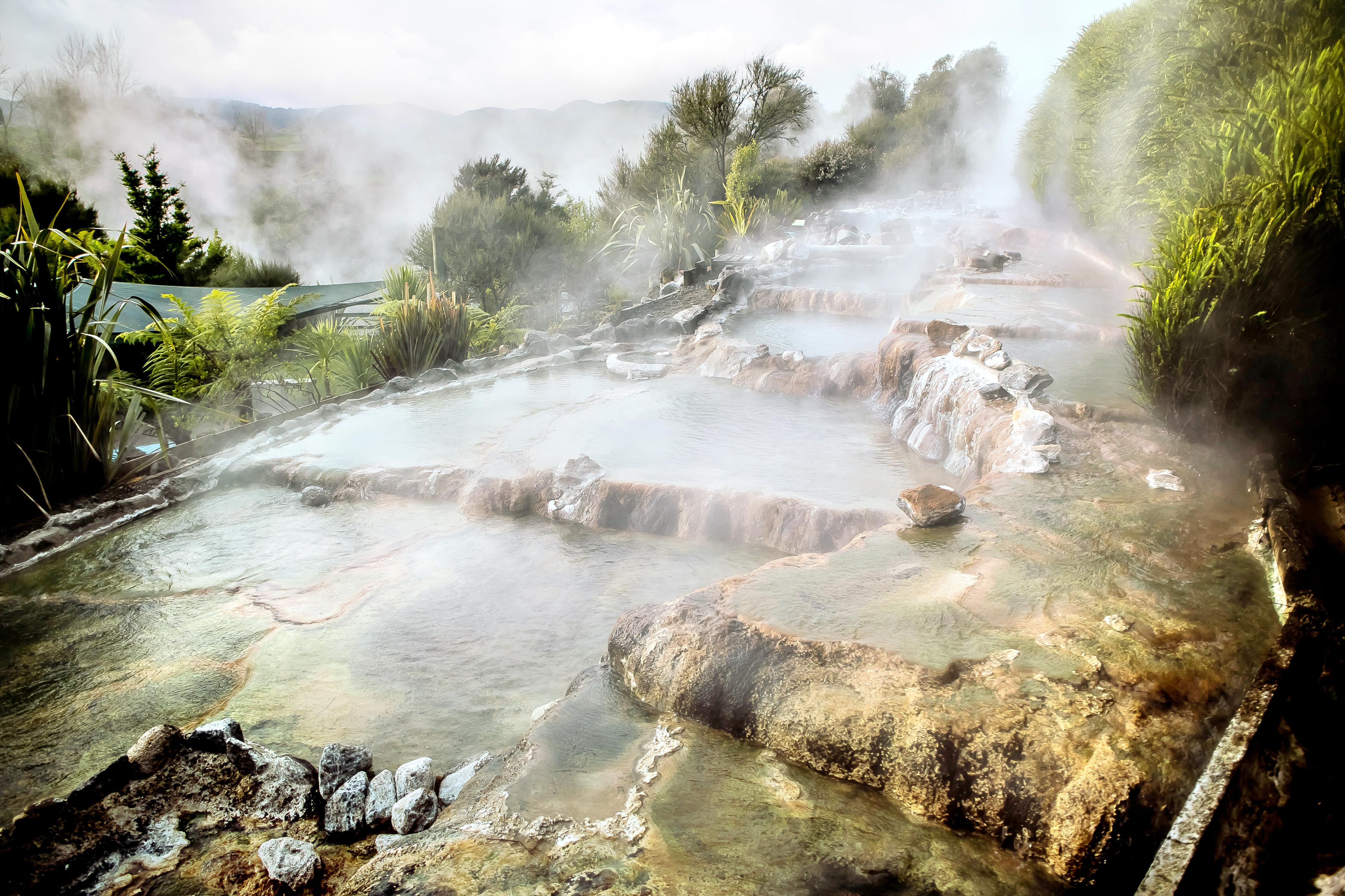 Waikite Valley Thermal Pools attraction reviews - Waikite Valley Thermal Pools tickets - Waikite Valley Thermal Pools discounts - Waikite Valley Thermal Pools transportation, address, opening hours - attractions, hotels, and food