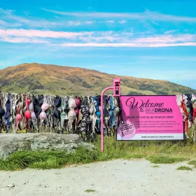 Cardrona Bra Fence