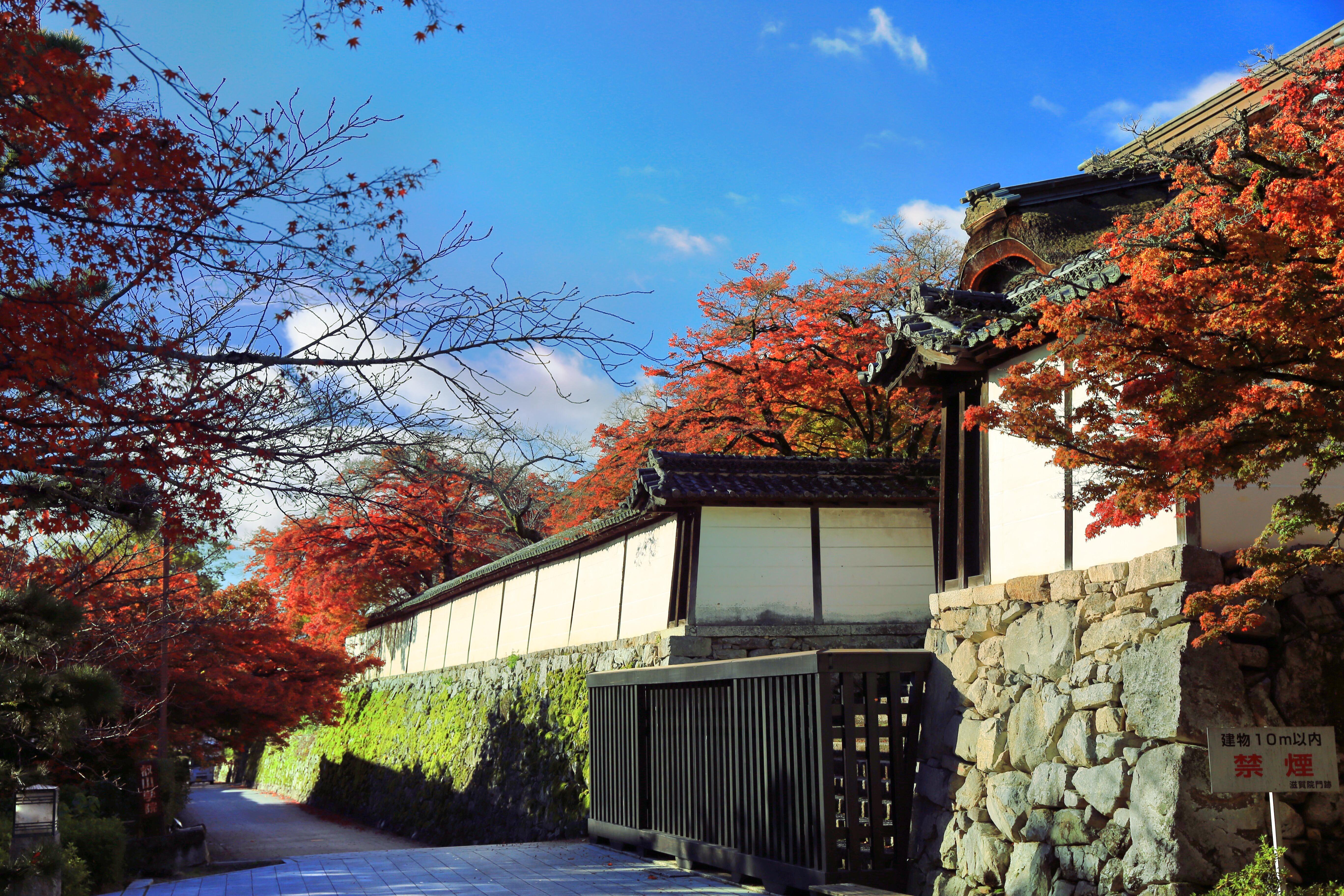 Remains Of Shigain Mon Travel Guidebook Must Visit Attractions In Otsu Remains Of Shigain Mon Nearby Recommendation Trip Com