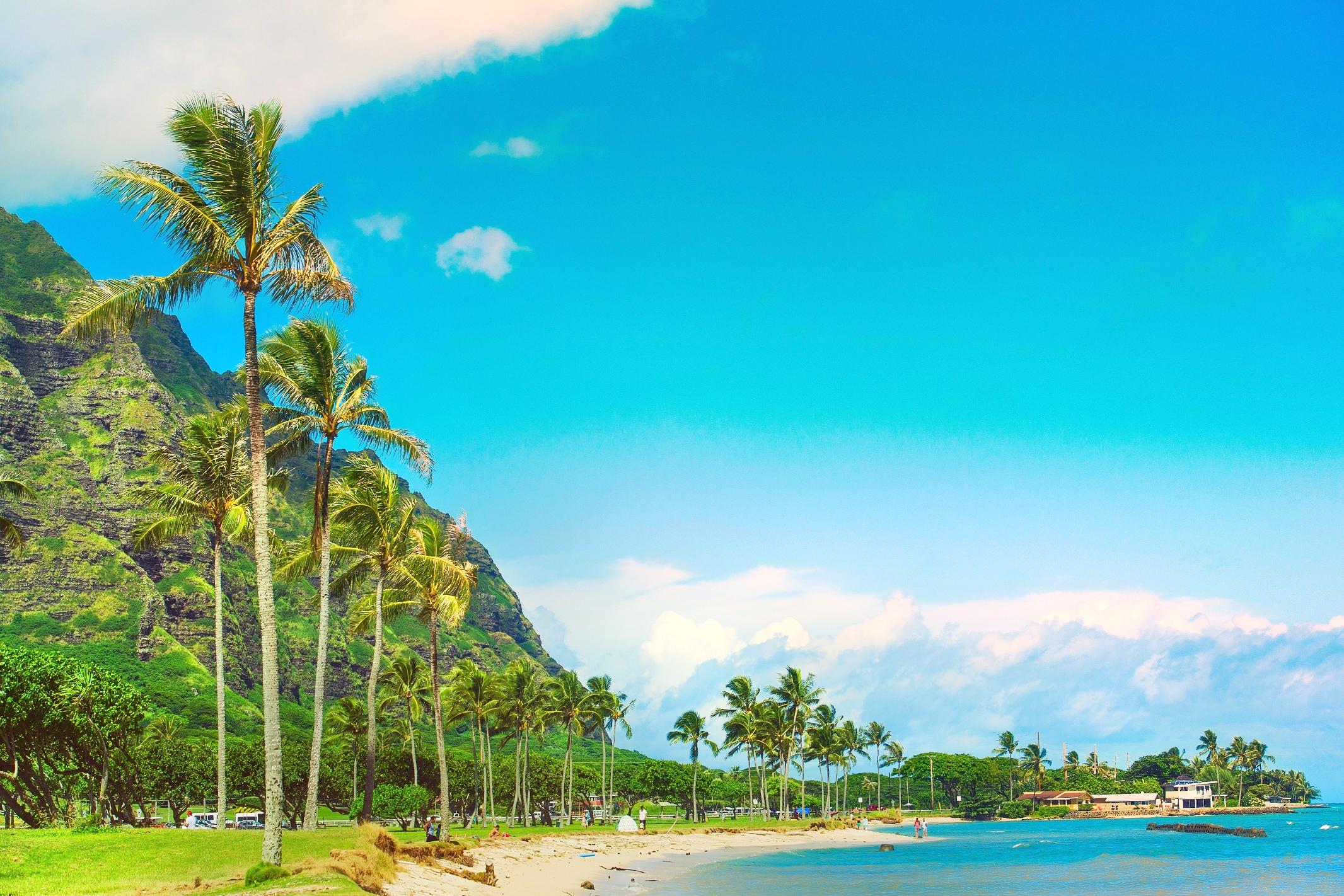 are dogs allowed at kualoa beach park