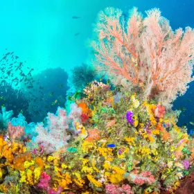 箱根園水族館