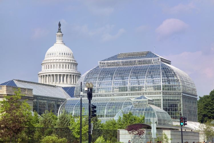 ワシントンd C アメリカ植物庭園 評判 案内 トリップドットコム