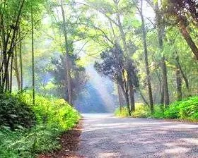 Hefu National Forest Park