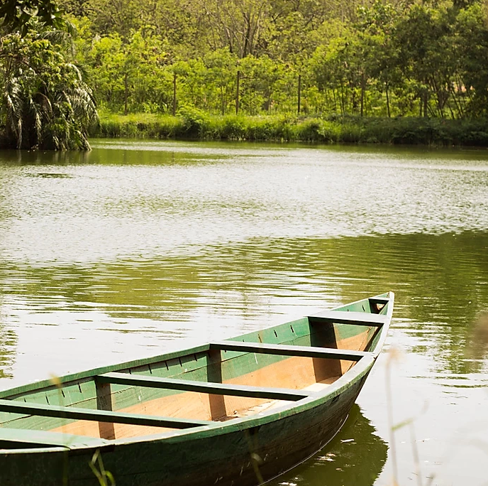 Legon Botanical Gardens travel guidebook –must visit attractions in Haatso – Legon Botanical Gardens nearby recommendation – Trip.com