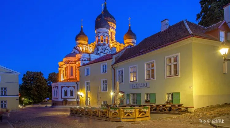 タリン アレクサンドル ネフスキー大聖堂 評判 案内 トリップドットコム