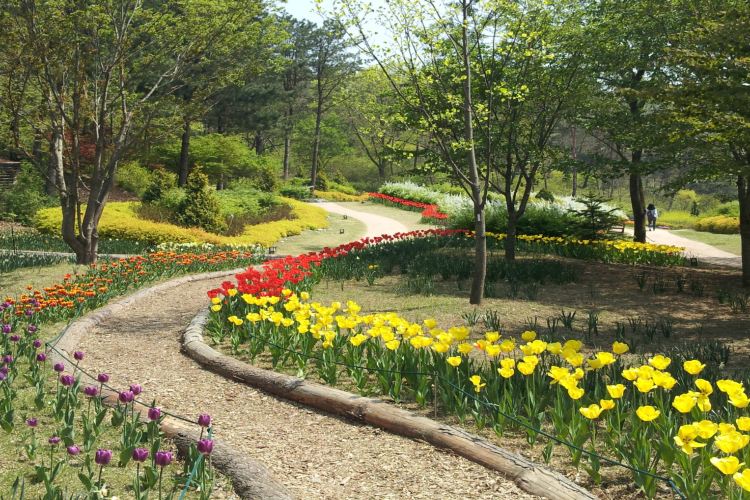 춘천 제이드가든수목원 정보 및 후기 | 트립닷컴
