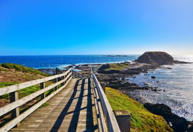 Phillip Island Nature Parks Popular Attractions Photos