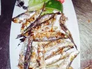 To Kohili Fish Tavern - Ouzeri