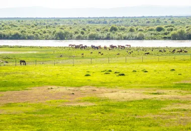 昭蘇天馬文化園 熱門景點照片