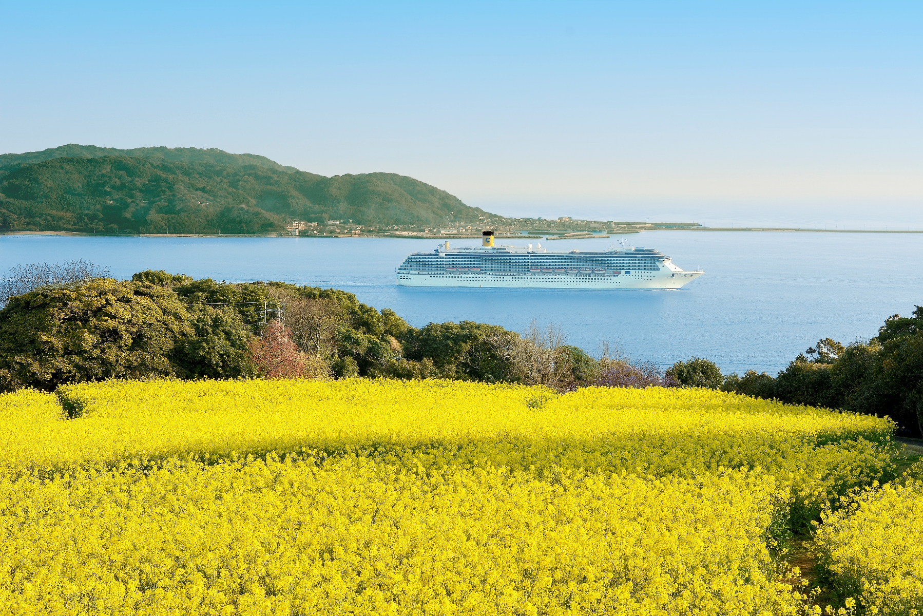 福岡 能古島 評判 案内 トリップドットコム