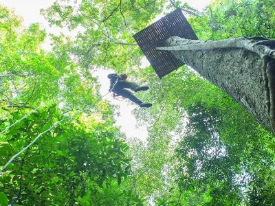 西雙版納原始森林公園叢林飛躍