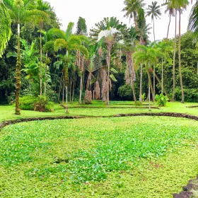 Tahiti Botanical Garden