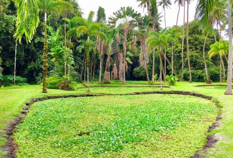 Tahiti Botanical Garden