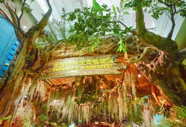 正佳雨林生態植物園 熱門景點照片