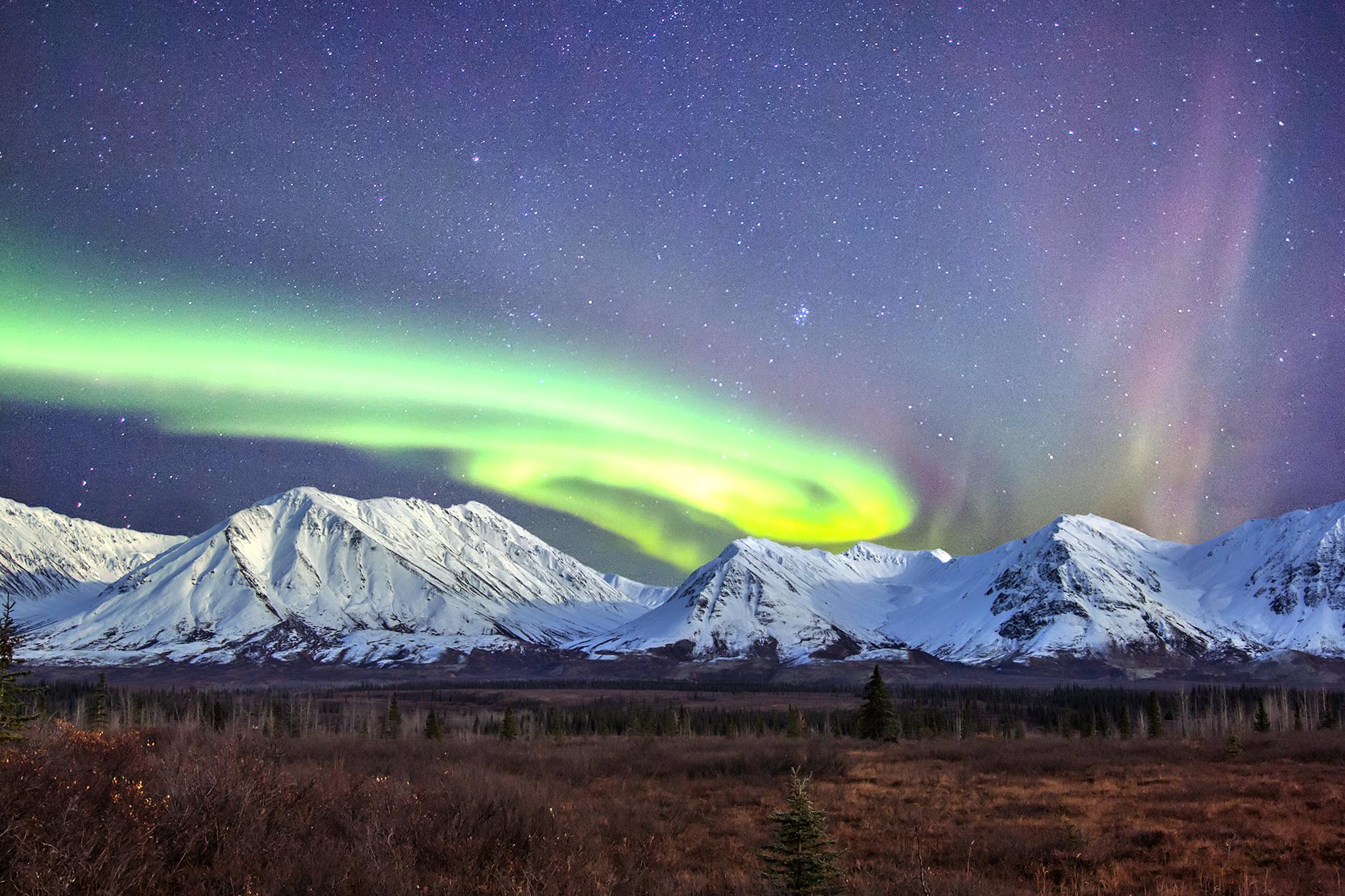 デナリ国立公園 Mountmckinley 評判 案内 トリップドットコム