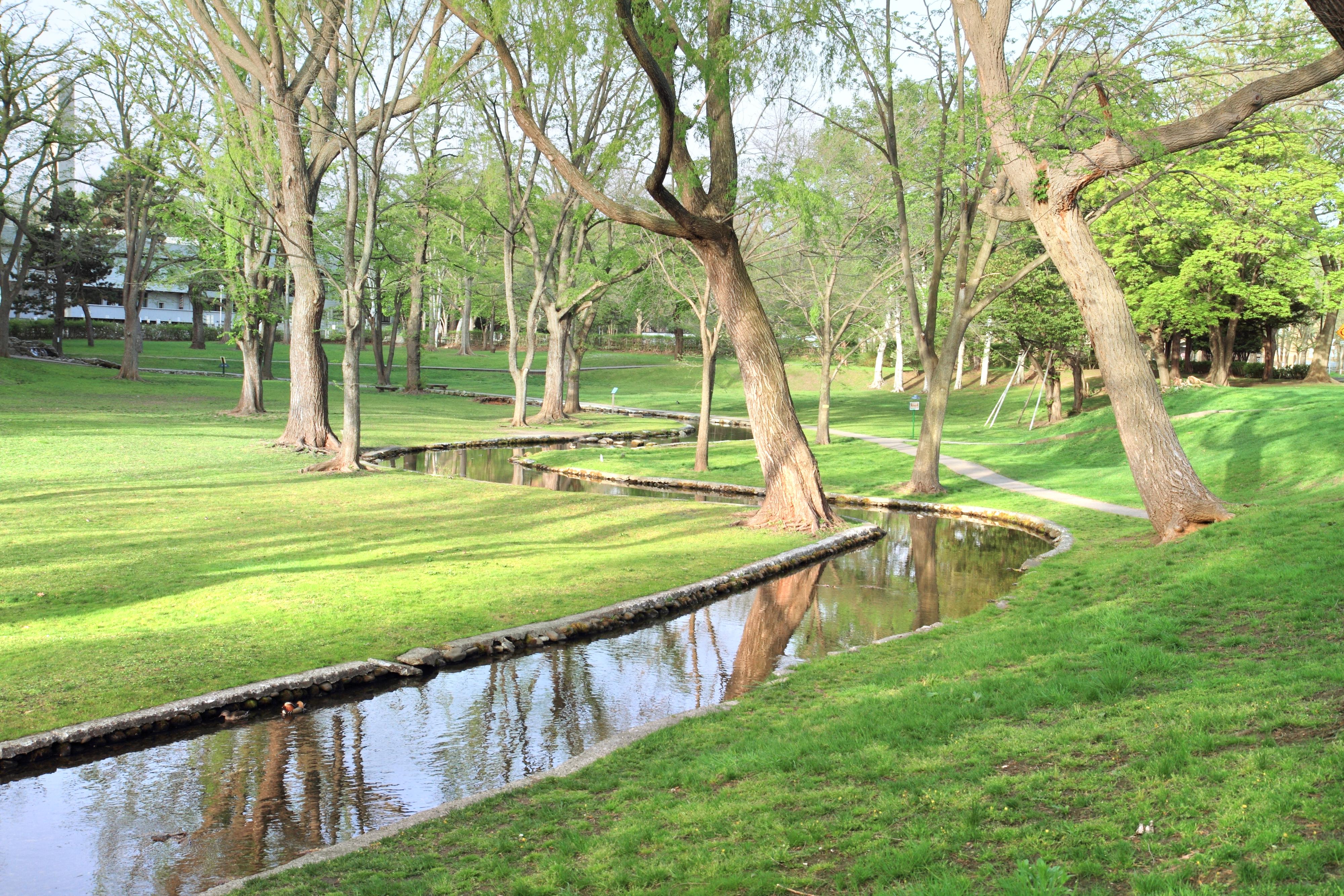 北海道大學植物園