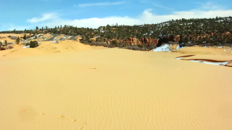カナブ コーラルピンク砂丘州立公園 評判 案内 トリップドットコム