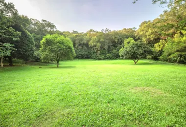 Qifeng Park Popular Attractions Photos