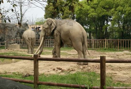 Nanchang Zoo