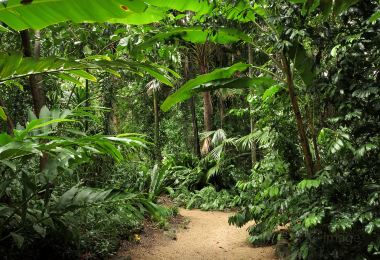 Cairns Botanic Gardens Popular Attractions Photos