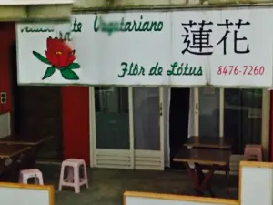 Restaurante Vegetariano Flor de Lotus 蓮花