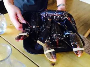 Lobster Cafe