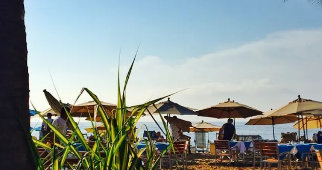Swell Beach Bar restaurants, addresses, phone numbers, photos, real user  reviews, 182 Amapas | Los Muertos Beach, Puerto Vallarta, Mexico （原名 The  Beach House）, Puerto Vallarta restaurant recommendations 