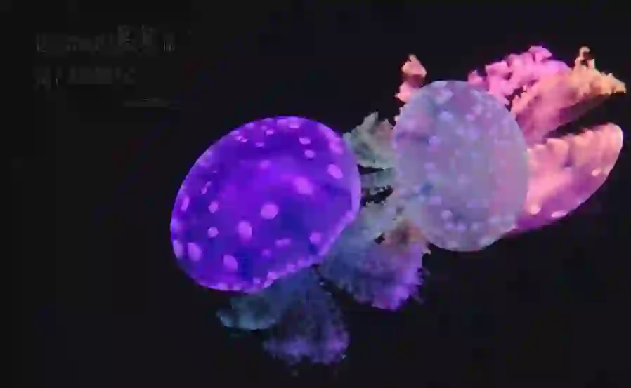 Trip.com