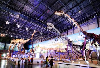 Xixia Dinosaur Relics Park Popular Attractions Photos