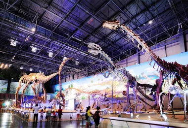 Xixia Dinosaur Relics Park Popular Attractions Photos